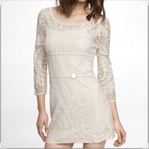 Express Lace Dress